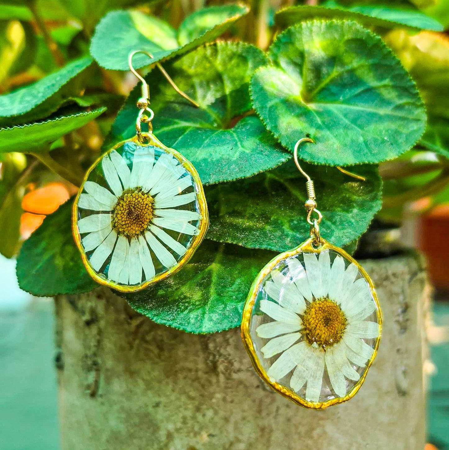 Daisy dreams, forever captured in resin