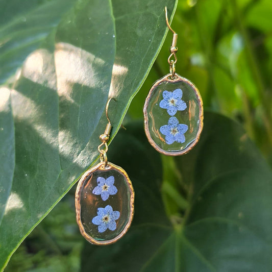 Pressed forget-me-not earrings set in resin