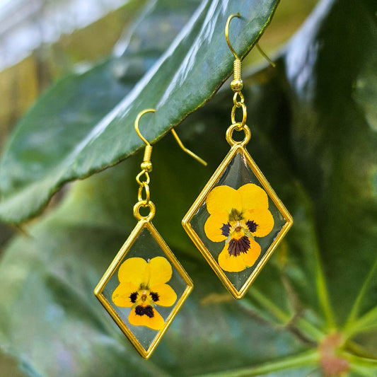 Yellow viola earrings pressed in resin