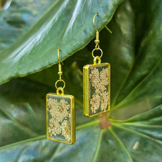 Queen Anne's Lace earrings set in resin