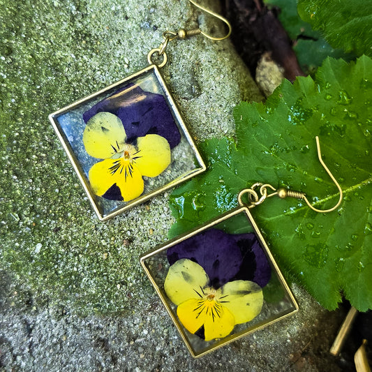 Pressed Pansies set in resin