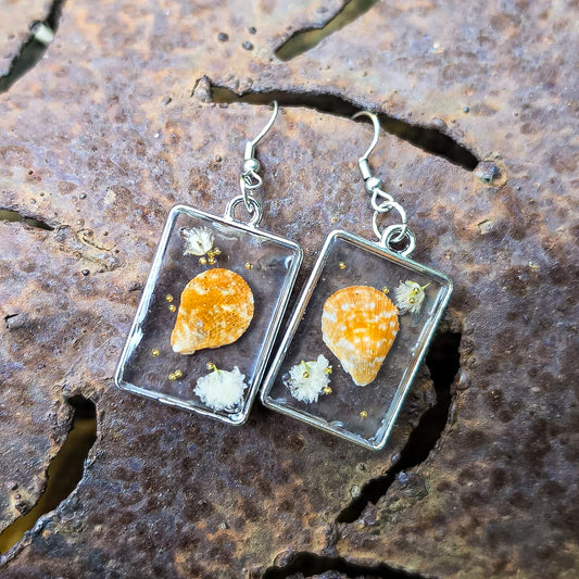 Pressed seashell earrings set in resin