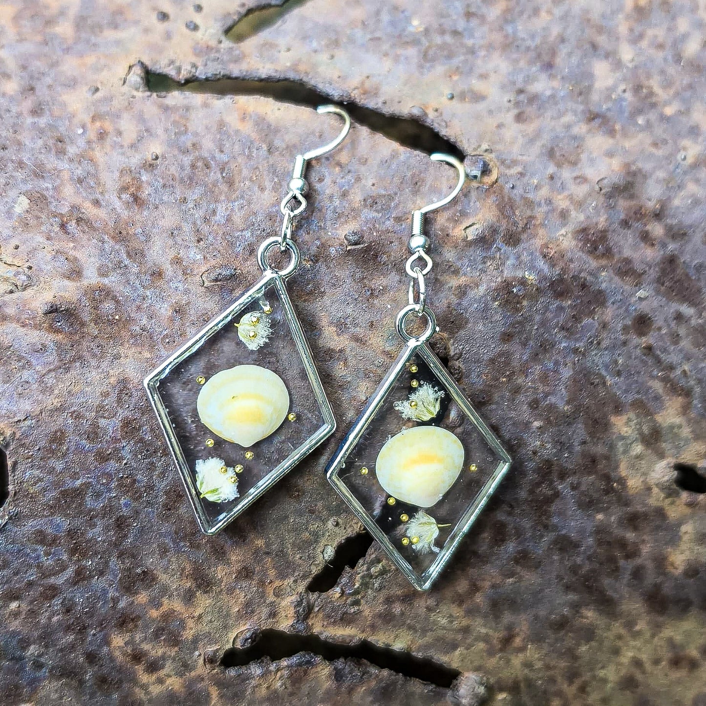 Seashell earrings set in resin