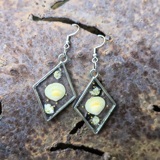 Seashell earrings set in resin